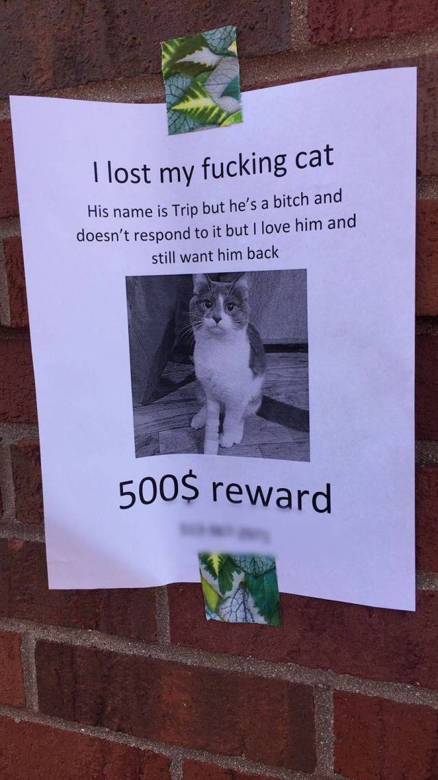 Bildschirmarbeiter - Picdump 14.10.2016