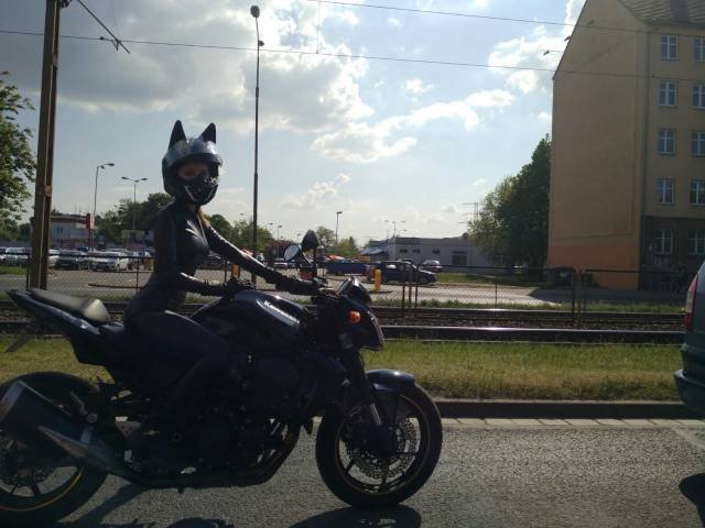 Bildschirmarbeiter - Picdump 14.10.2016