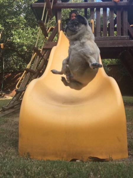 Bildschirmarbeiter - Picdump 14.10.2016