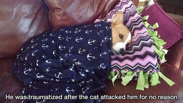 Bildschirmarbeiter - Picdump 14.10.2016