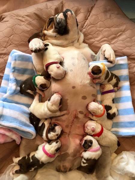 Bildschirmarbeiter - Picdump 14.10.2016