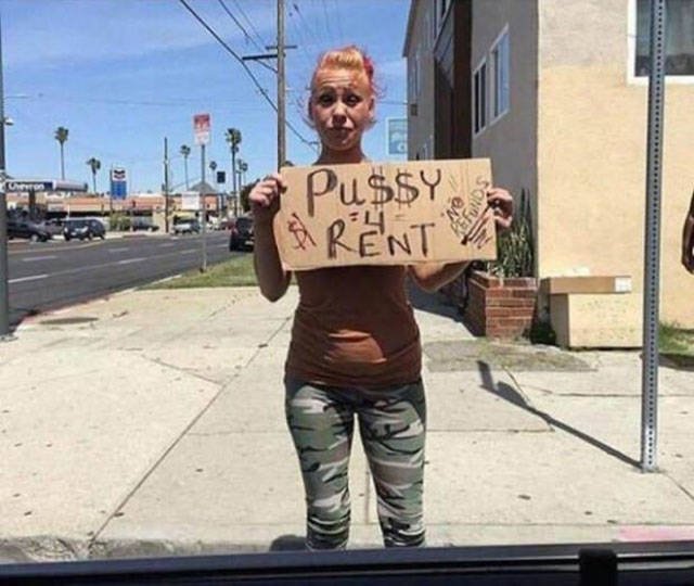 Bildschirmarbeiter - Picdump 14.10.2016