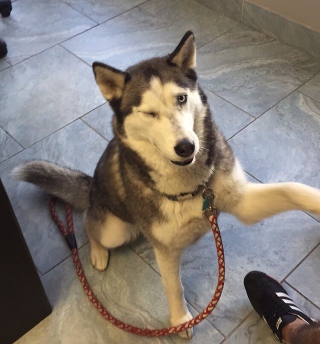 Bildschirmarbeiter - Picdump 28.10.2016