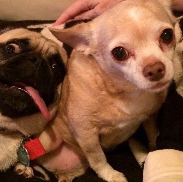 Bildschirmarbeiter - Picdump 28.10.2016