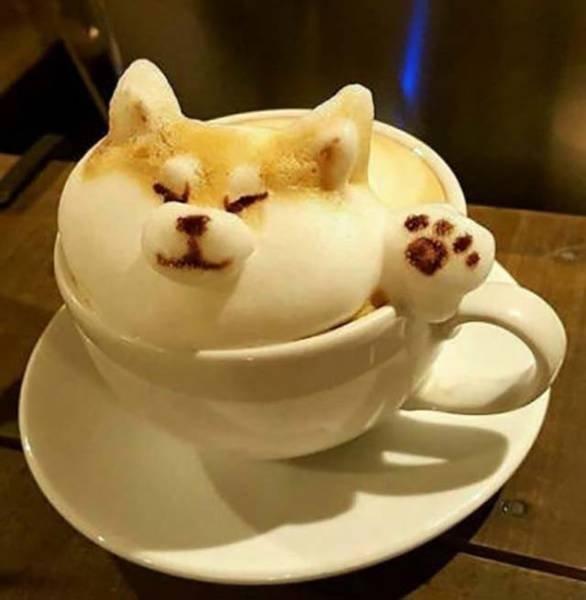 Bildschirmarbeiter - Picdump 28.10.2016