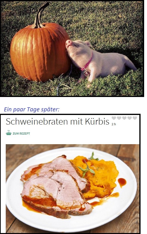 Bildschirmarbeiter - Picdump 28.10.2016