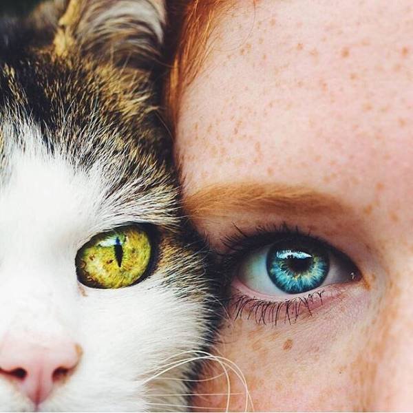 Bildschirmarbeiter - Picdump 28.10.2016