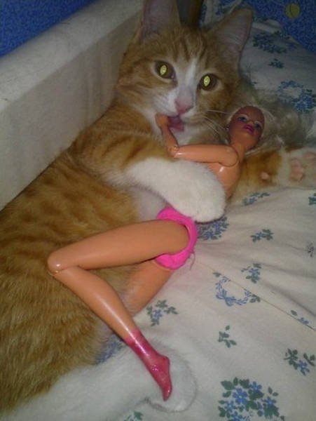 Bildschirmarbeiter - Picdump 28.10.2016