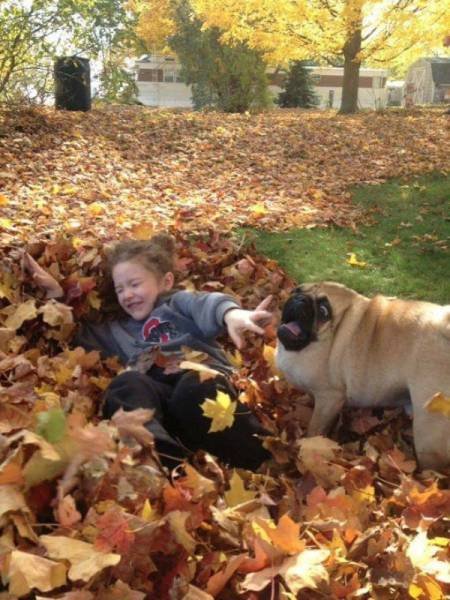 Bildschirmarbeiter - Picdump 28.10.2016