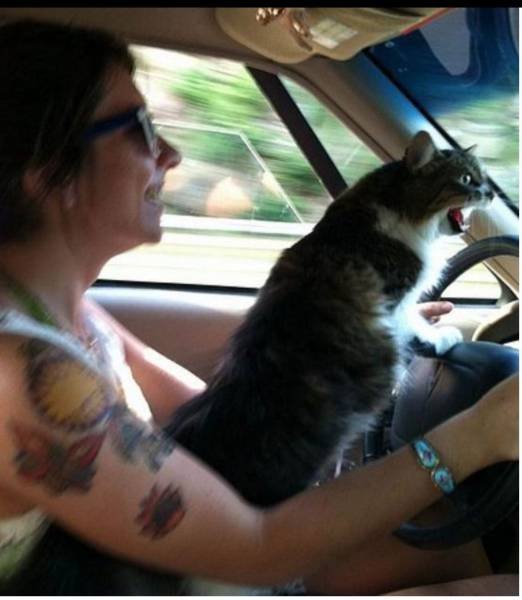 Bildschirmarbeiter - Picdump 28.10.2016