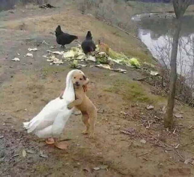 Bildschirmarbeiter - Picdump 28.10.2016