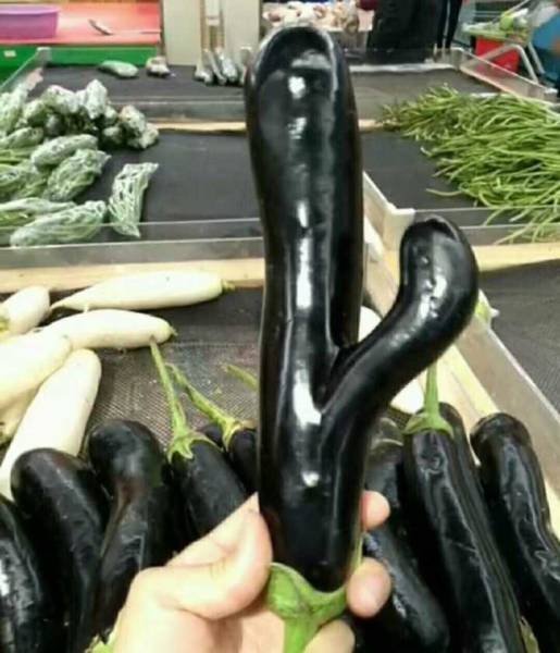 Bildschirmarbeiter - Picdump 28.10.2016