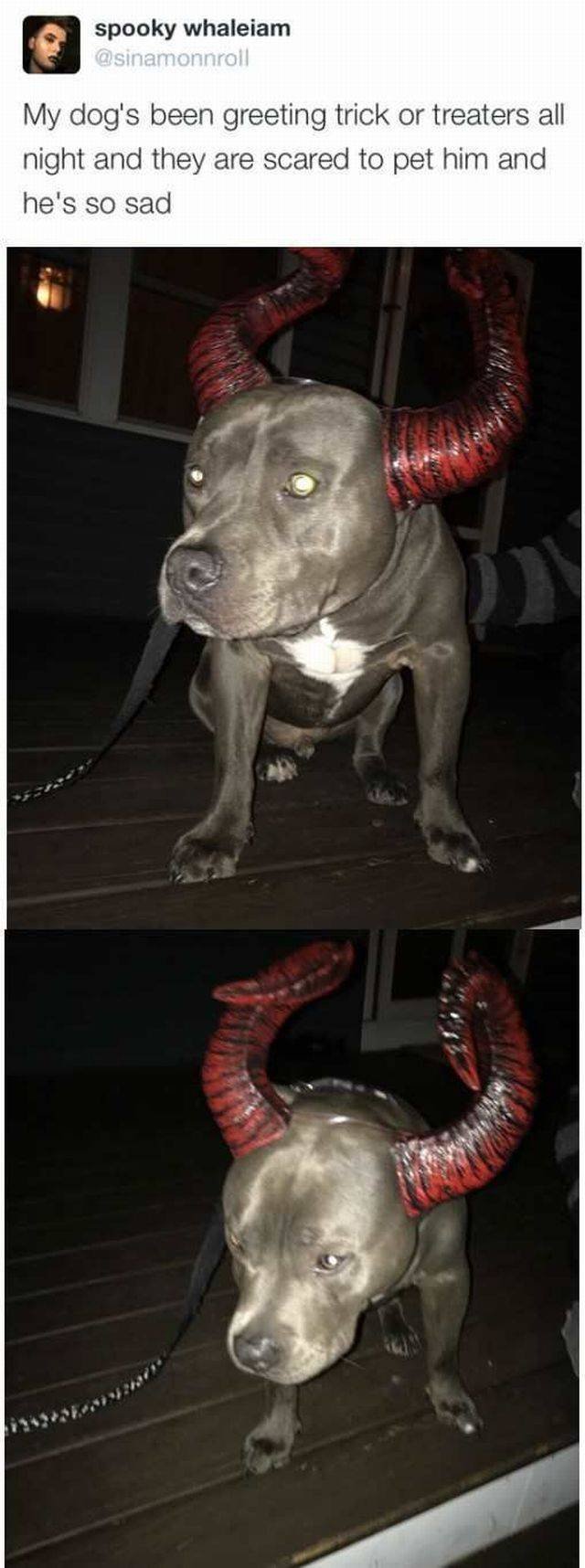 Bildschirmarbeiter - Picdump 04.11.2016 - Nachschlag