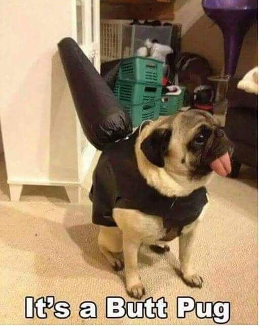 Bildschirmarbeiter - Picdump 04.11.2016 - Nachschlag