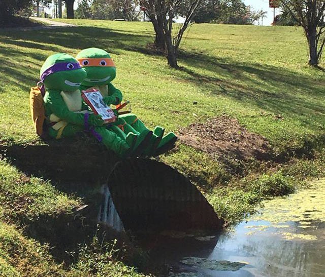 Bildschirmarbeiter - Picdump 04.11.2016 - Nachschlag