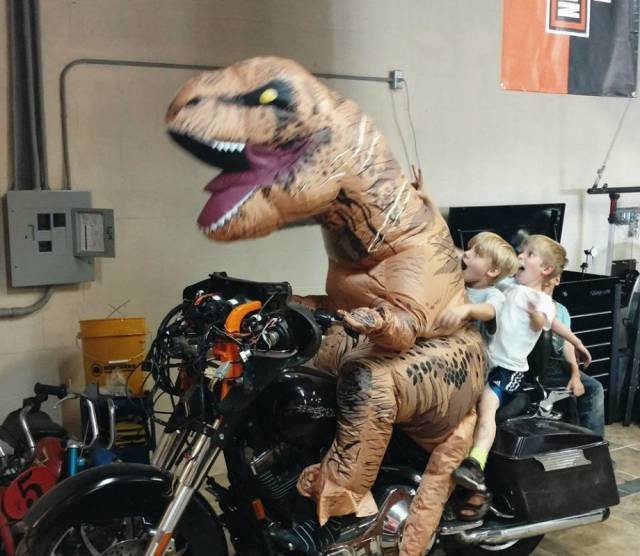 Bildschirmarbeiter - Picdump 04.11.2016