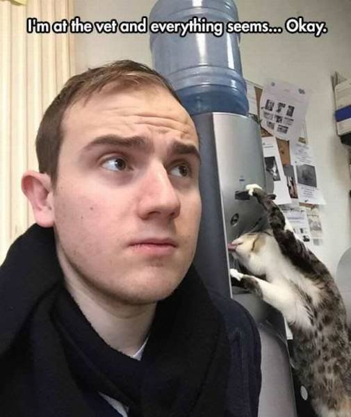 Bildschirmarbeiter - Picdump 04.11.2016