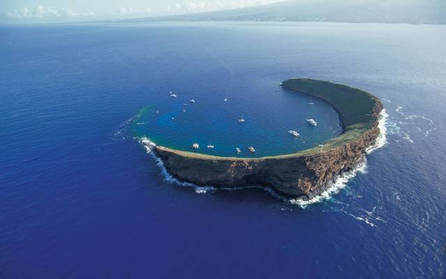 Bildschirmarbeiter - Picdump 04.11.2016