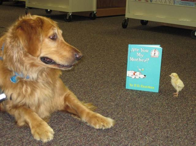 Bildschirmarbeiter - Picdump 04.11.2016