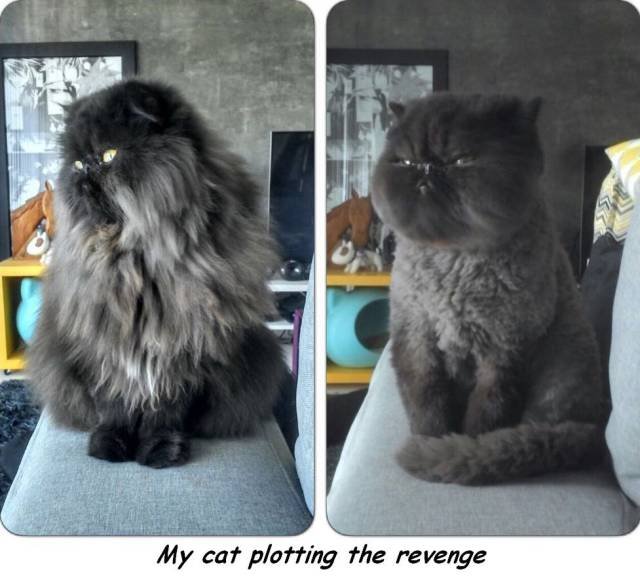 Bildschirmarbeiter - Picdump 04.11.2016