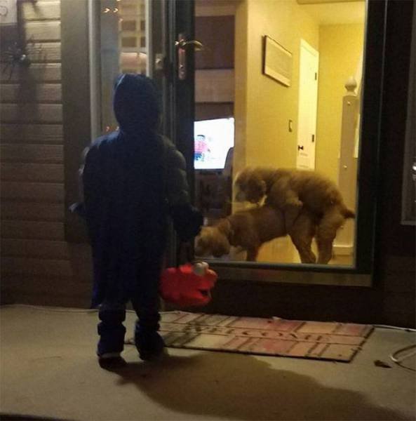 Bildschirmarbeiter - Picdump 04.11.2016