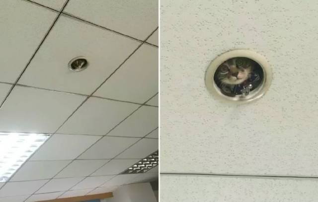 Bildschirmarbeiter - Picdump 04.11.2016