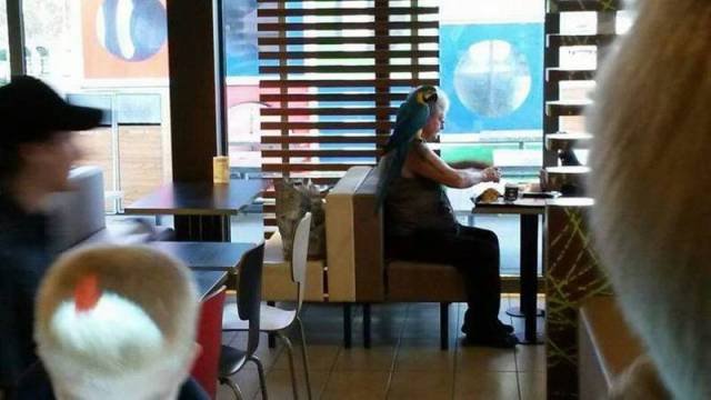 Bildschirmarbeiter - Picdump 04.11.2016