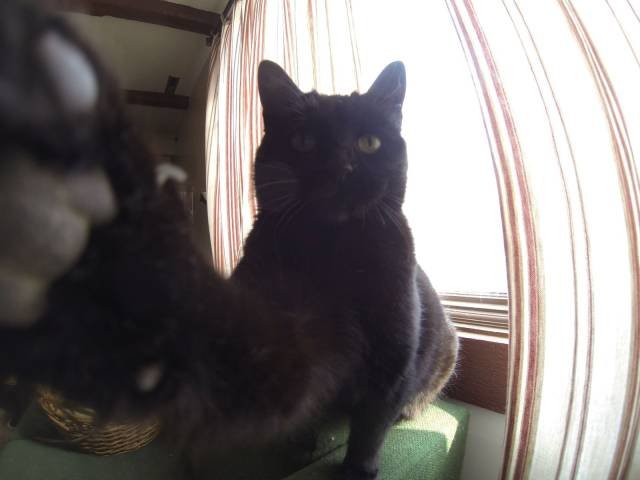 Bildschirmarbeiter - Picdump 04.11.2016