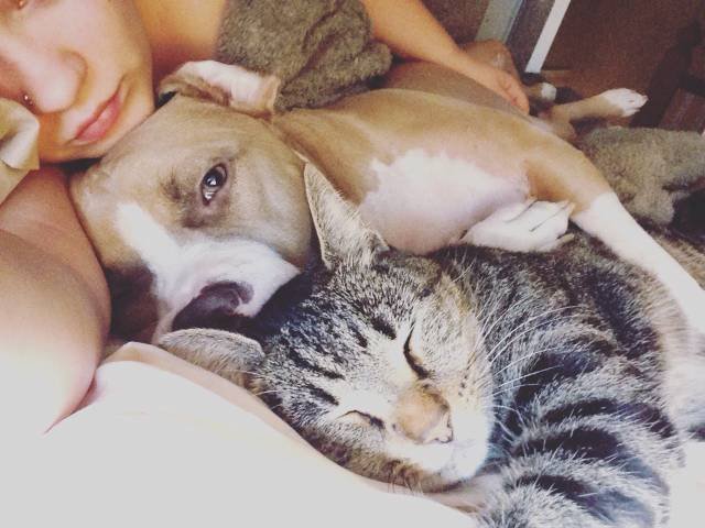 Bildschirmarbeiter - Picdump 04.11.2016