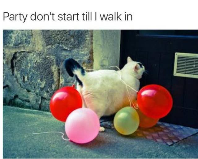 Bildschirmarbeiter - Picdump 04.11.2016