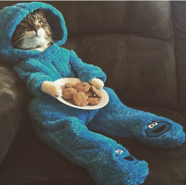 Bildschirmarbeiter - Picdump 04.11.2016