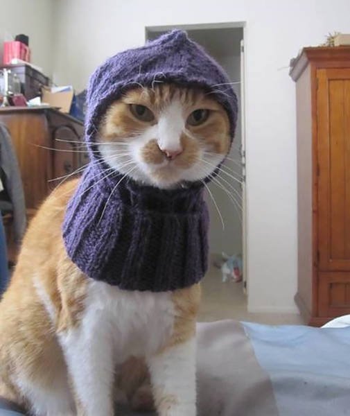 Bildschirmarbeiter - Picdump 04.11.2016