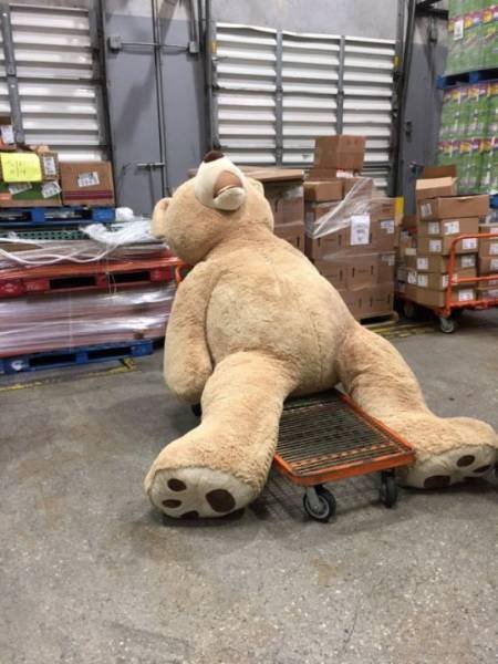 Bildschirmarbeiter - Picdump 11.11.2016 - Nachschlag