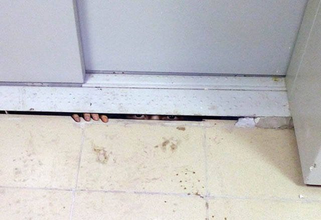 Bildschirmarbeiter - Picdump 11.11.2016 - Nachschlag