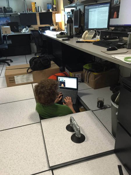 Bildschirmarbeiter - Picdump 11.11.2016 - Nachschlag