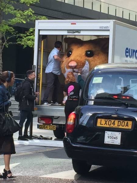 Bildschirmarbeiter - Picdump 11.11.2016 - Nachschlag