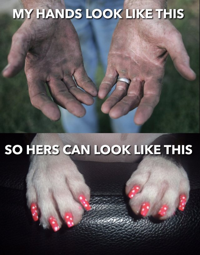 Bildschirmarbeiter - Picdump 11.11.2016