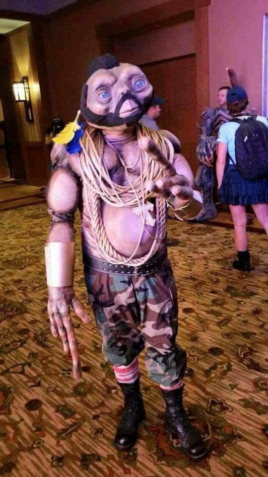 Bildschirmarbeiter - Picdump 11.11.2016