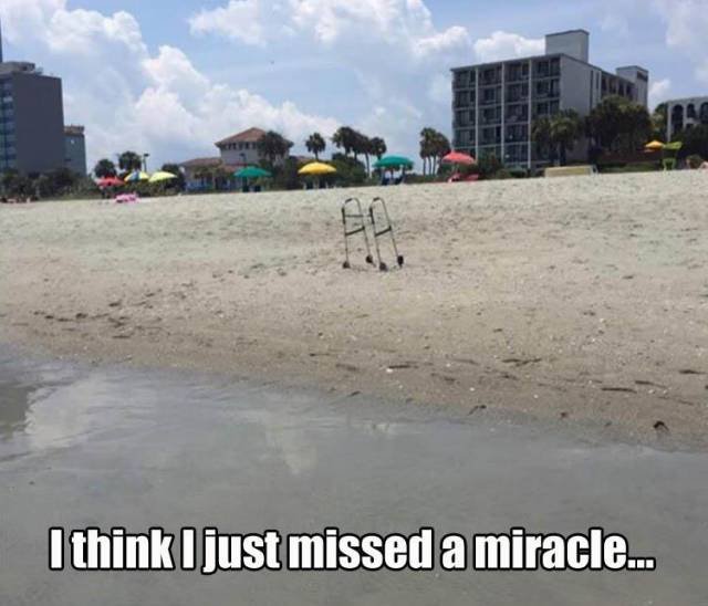 Bildschirmarbeiter - Picdump 11.11.2016