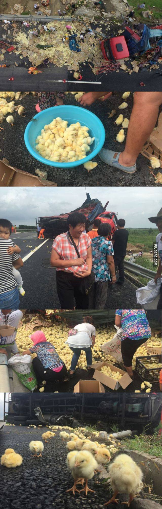 Bildschirmarbeiter - Picdump 11.11.2016