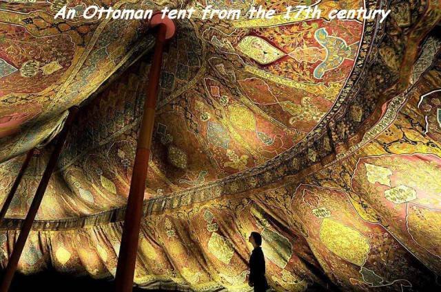 Bildschirmarbeiter - Picdump 11.11.2016