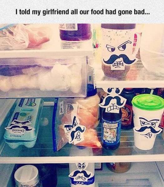 Bildschirmarbeiter - Picdump 11.11.2016