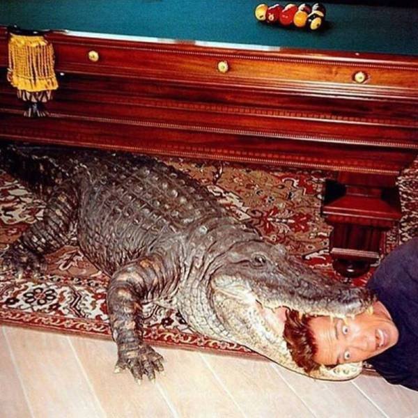 Bildschirmarbeiter - Picdump 11.11.2016