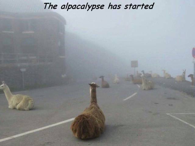 Bildschirmarbeiter - Picdump 11.11.2016