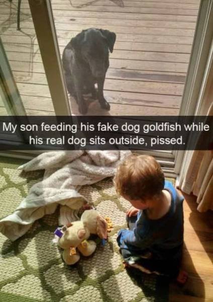 Bildschirmarbeiter - Picdump 11.11.2016