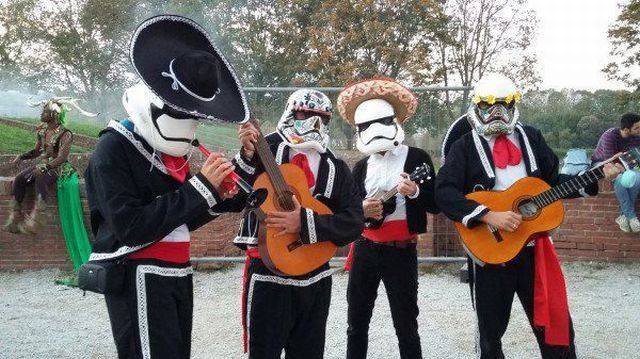 Bildschirmarbeiter - Picdump 11.11.2016