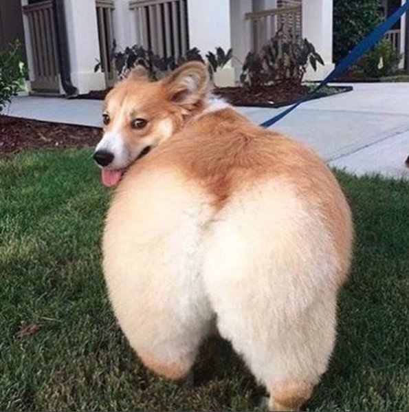 Bildschirmarbeiter - Picdump 11.11.2016