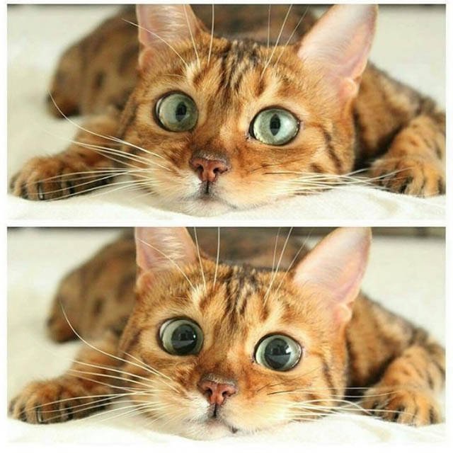 Bildschirmarbeiter - Picdump 11.11.2016