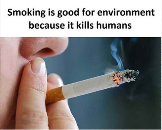 Bildschirmarbeiter - Picdump 11.11.2016