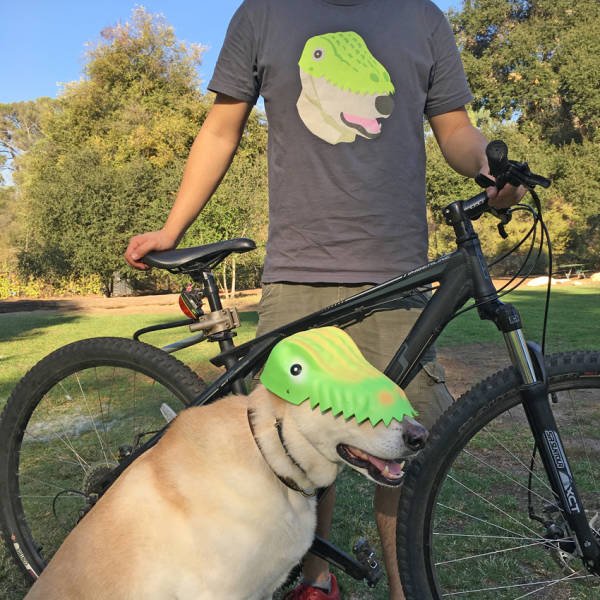 Bildschirmarbeiter - Picdump 11.11.2016